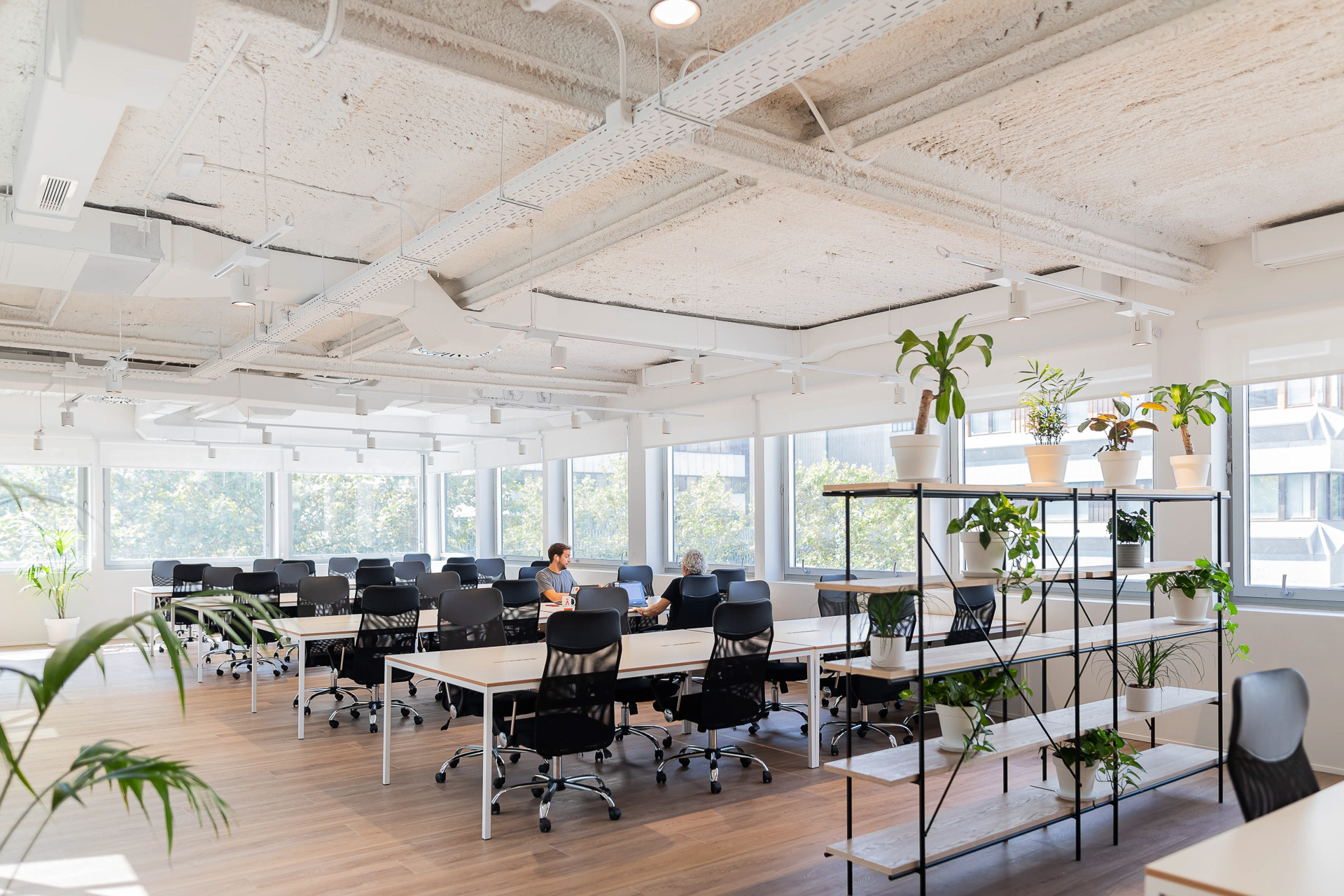 private offices Madrid